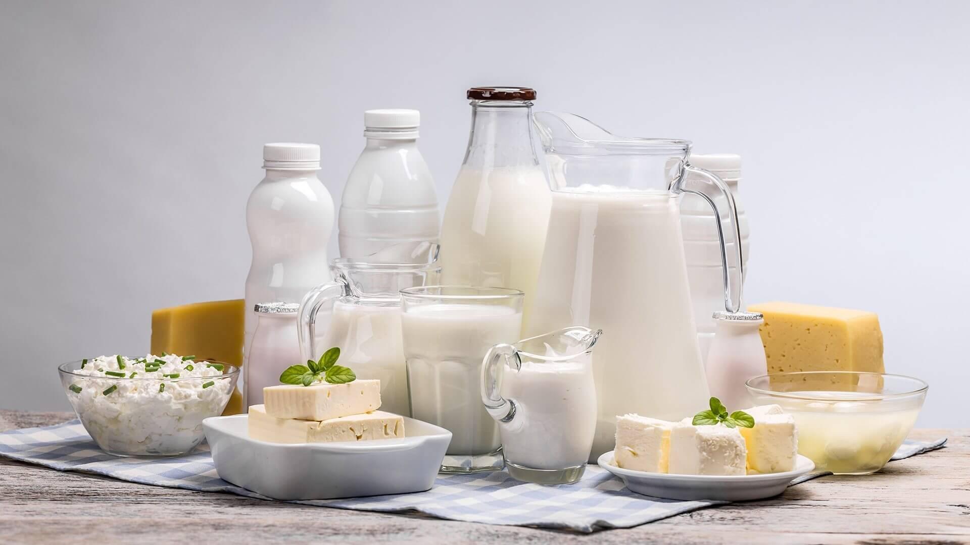 Benefits and Risks of Dairy Products